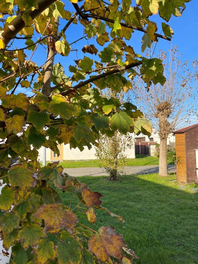 Vakantiehuisje38 Koksijde Zewnętrze zdjęcie